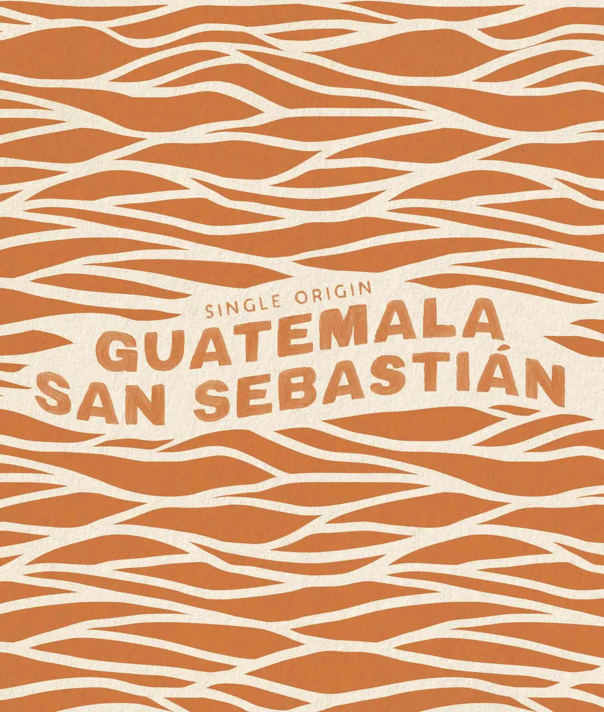 Guatemala San Sebastián