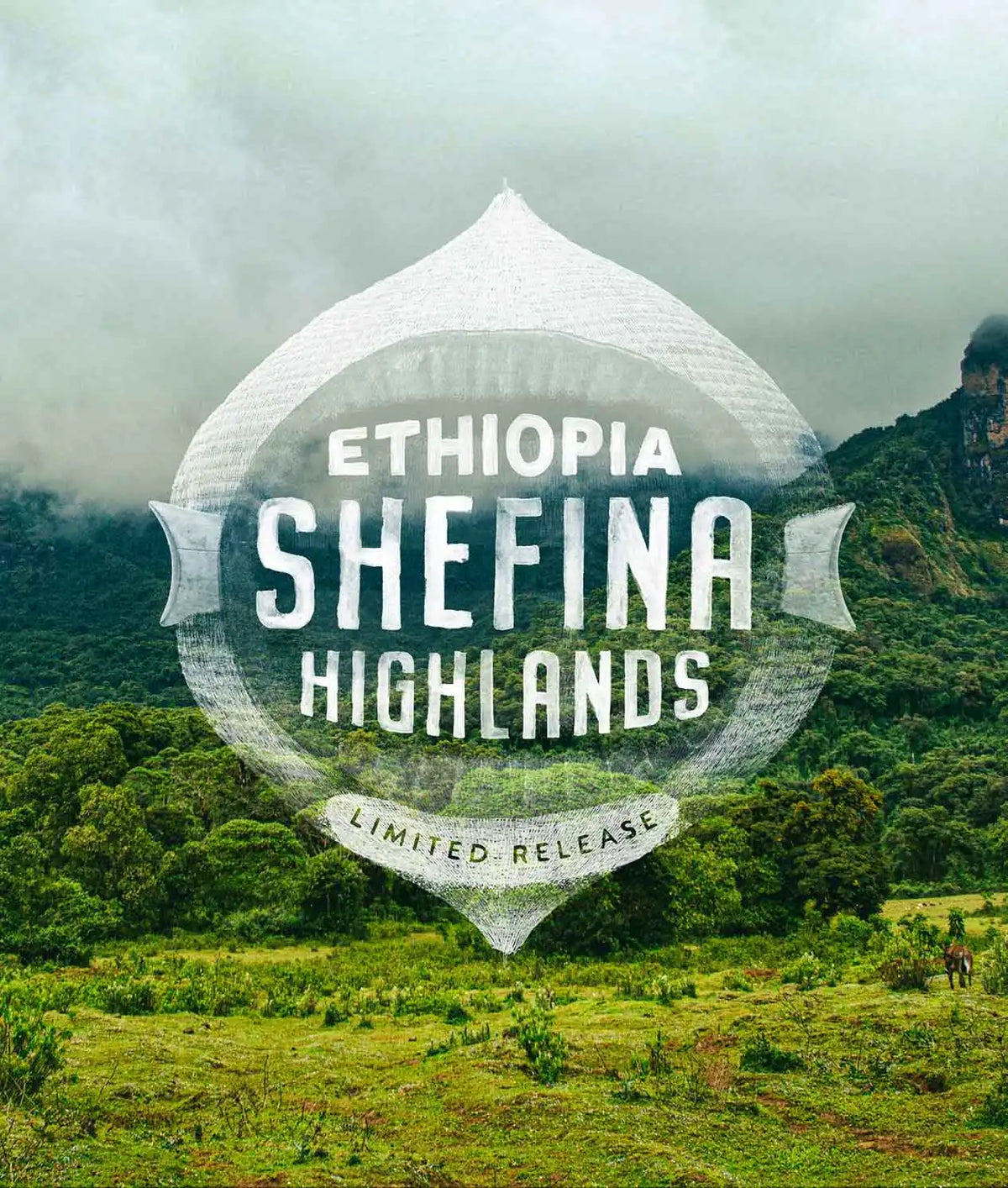 Ethiopia Shefina Highlands