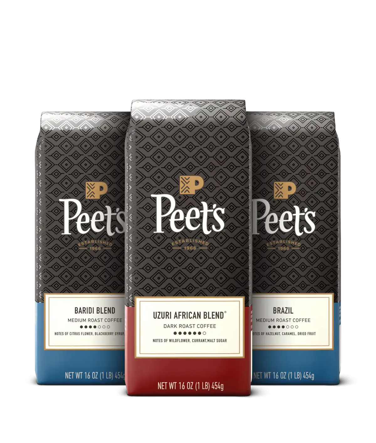 Cold Brew Bundle